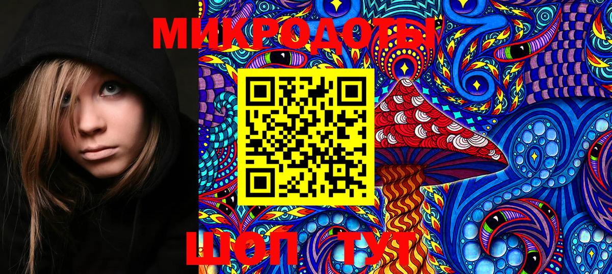 Псилоцибиновые грибы Psilocybe Усть-Илимск